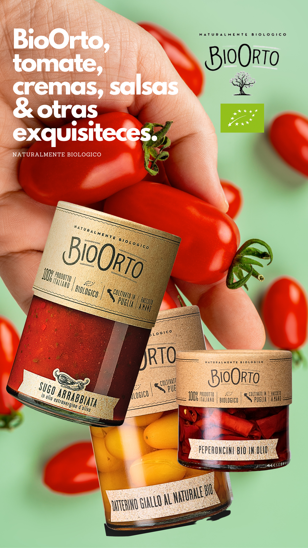  Productos Divus Gourmet